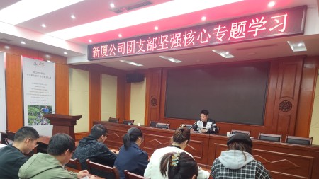 甘肅建投七建新廈公司團支部組織召開(kāi)“堅強核心”專(zhuān)題學(xué)習
